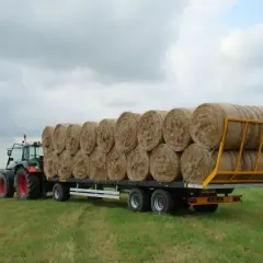 Ciągnik z przyczepą pełną okrągłych balotów siana, gotowych do transportu.