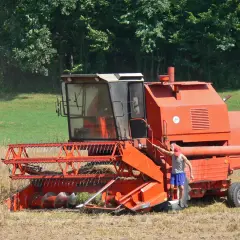 Pomarańczowy kombajn zbożowy Bizon w polu, obok stoi mężczyzna.