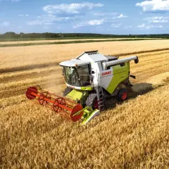 Kombajn zbożowy Claas Dominator w akcji, zbierający złote kłosy pszenicy na słonecznym polu.