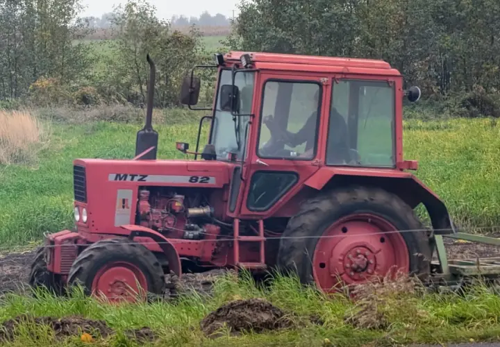 Czerwony traktor MTZ Belarus 820 pracuje na polu, za nim widać las.