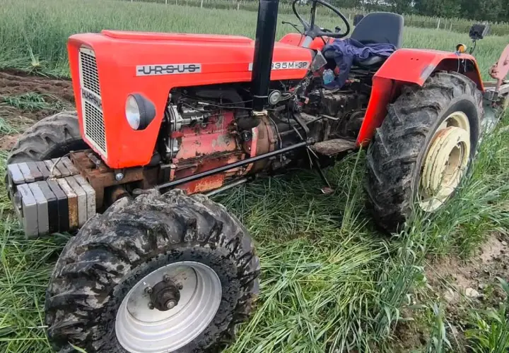 Czerwony Ursus 335M-3P, z doczepionymi obciążnikami, gotowy do pracy w polu. Ten wierny ciapek to symbol polskiego rolnictwa.