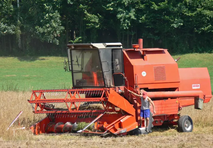 Pomarańczowy kombajn zbożowy Bizon w polu, obok stoi mężczyzna.