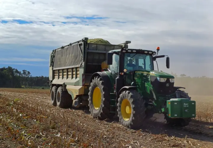Zielony traktor z przyczepą pełną zielonki zts pracuje na polu po żniwach.