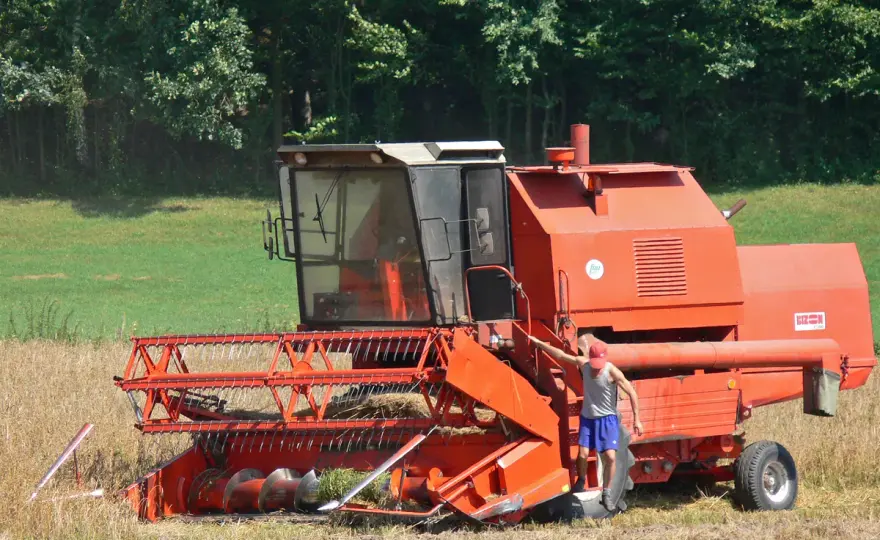 Kombajn Bizon Gigant - czy warto kupić ten używany?