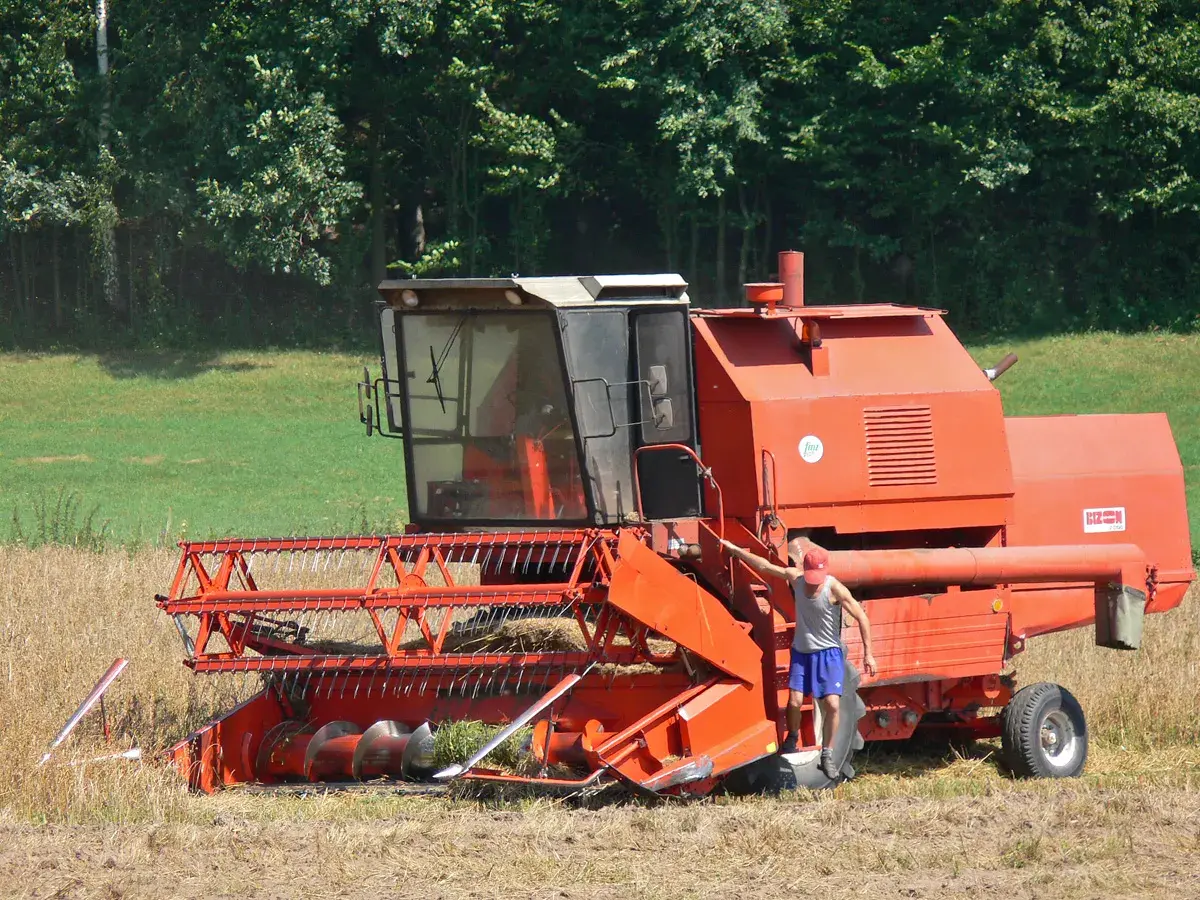 Pomarańczowy kombajn zbożowy Bizon w polu, obok stoi mężczyzna.