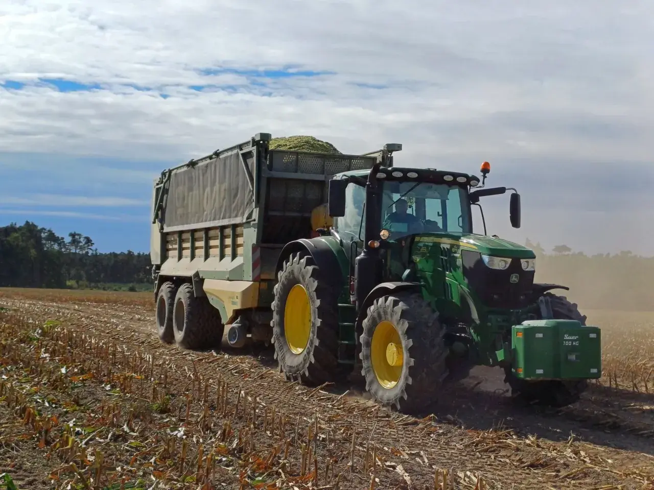 Zielony traktor z przyczepą pełną zielonki zts pracuje na polu po żniwach.
